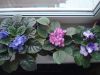 DSC00870.JPG