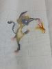 DSC06973.thumb.JPG.11cd23d6054af0a568dde945c27c8834.JPG