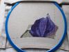 DSCN2148.thumb.JPG.945e5eb016782b673cabafe59884bdf2.JPG
