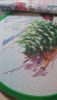 DSC_1576.thumb.JPG.976c6ffb5e47c4ffa1baabda1c155abf.JPG