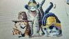 DSC_2512.thumb.JPG.f1fef70db88a1c0e3dc94a1653e9b3a7.JPG