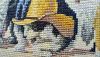 DSC_2529.thumb.JPG.071798bee9933c046a12f322bb56d684.JPG
