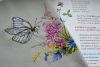 DSC_34171.thumb.jpg.b54910663288e2f3aa189add0ab45d55.jpg