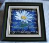 Daisy..thumb.JPG.a5cd35e282622f9e79e673df6082ec42.JPG