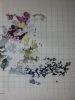 IMG-20180220-WA0010.thumb.jpg.9f747330256794428b6446c421f56906.jpg