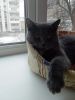 IMG-20191115-WA0001.thumb.jpg.b6ba050e8ca1d0e253b0428f450a7c9a.jpg