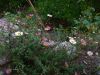 IMG_20191016_122432.thumb.jpg.472e43b452905161840356ae330f98ee.jpg