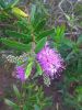 IMG_20191018_103206.thumb.jpg.f45004903ea8767370bb76cd0a395fdc.jpg