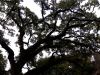 IMG_20191018_113723.thumb.jpg.fdf1b5922f5fdb34ee4ce411c5b42f0e.jpg