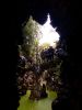 IMG_20191018_123839.thumb.jpg.4fae7c8eff2bdcb7273daea026edd705.jpg