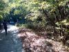IMG_20191023_123916.thumb.jpg.5722253f8969a1749481b214a45779fb.jpg