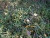 IMG_20191023_125852.thumb.jpg.e755d3fb841ff0ce83b118576bc80e81.jpg