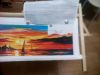 IMG_20191101_062008.jpg