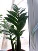 IMG_20191125_130957.thumb.jpg.243a78ff4ce3a647cc6c550355c8687d.jpg