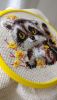 IMG_20191126_125537.thumb.jpg.4f0d5eae3791fe11ec476543fdd42c70.jpg
