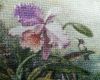 IMG_8913.thumb.JPG.bbc6b0fb13006aea29299f65669d16ec.JPG