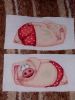 IMG_9002.thumb.JPG.7a5cb0390b61c849568a57a4fe8e24b9.JPG