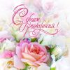 birthday-869.thumb.jpg.aabc8402f8e1c0a2999ef6906b36542e.jpg