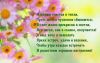 s1200.thumb.jpg.e3242c2e94884262962aeea5466bdd95.jpg