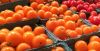 tomatoes_tomato_fresh_food_red_orange_freshness_natural-789660.thumb.jpg.b0031236772e3fb84d69706e6c5425a6.jpg