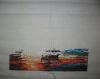 01_07-02-2019_IMG_6811a.thumb.jpg.5dc25c1c6ab0905cff256e597a7d8239.jpg