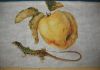 07_04-07-2018_IMG_6331a.thumb.jpg.a364c19b0eda9ceec36f94bfae77594d.jpg
