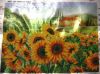 0F92DE90-F0FE-41FD-A5B4-3A59177BD896.thumb.jpeg.c371f1de738d760011ead56d5676d6d2.jpeg