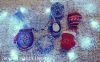 1-01__2019.12.29-11.25.38-01.jpeg