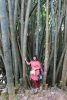 1072522517_239___.thumb.JPG.0ff305b3685adabc49af7869022ff14e.JPG