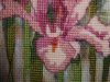 15.thumb.jpg.1e65892f83c955dbfacca349d236677f.jpg