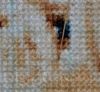 1750485375_2.thumb.jpg.0475d81f4e957b22b8059229ae1091c4.jpg