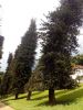 1825899094_245.thumb.jpg.d619e32358aa206c84cc9adffd3c0f34.jpg