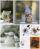 191222_214922_COLLAGE-1.thumb.jpg.49031647022f7eb904382f77659b6893.jpg