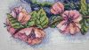 20191016_152310.thumb.jpg.50c933856676475eed82dea2283587c7.jpg