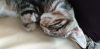 20191101_143713.thumb.jpg.91a1860cf1ebd330601001a2c1bbef8e.jpg