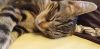 20191101_153700.thumb.jpg.39db2e5ba313b505c8203b0163403de1.jpg