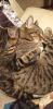 20191101_192349.thumb.jpg.08289a4429f9f39f1d124d09515aad41.jpg