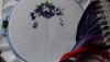 20191119_125020.thumb.jpg.d035d1830c9f59a97db7d78fff52d36a.jpg