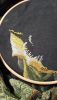 20191128_174951.thumb.jpg.6de4f7099e61454d052a9b6f68632074.jpg