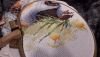 20191202_192133.thumb.jpg.078a2438f55bb06a4f1388868f82254f.jpg