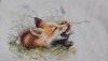 20191202_192311.thumb.jpg.78a4a5539516d8238b30820c93b43b1f.jpg?1575302460934