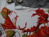 20191206_135744.thumb.jpg.aea9de0c719e295f36dd13d15108caa1.jpg