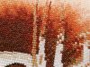 20191215_135237.thumb.jpg.343d03020fa3f1ad237426a702476656.jpg
