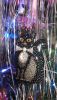 20191215_204540.thumb.jpg.def0bcd298499302c30c1075b294e0e2.jpg