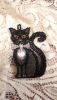 20191215_204928.thumb.jpg.ba3c2afd3376af0f873b9f4376a99d2e.jpg