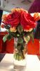 20191219_214534.thumb.jpg.495b8b4efd78e65f987b34fe431f062a.jpg