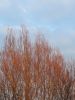 20191220_152755.thumb.jpg.8cb6940954bcb6a21246d4c649af1afe.jpg
