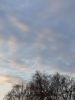 20191220_153201.thumb.jpg.02aae6ddfaec69ed53db6dd95eae172b.jpg