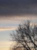 20191220_153239.thumb.jpg.86c778daa7539d6af9f51eb26ede407c.jpg