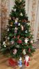 20191221_074300.thumb.jpg.559e94aed5475a8d33b4bbb4491c7864.jpg